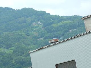 20250622_105010771.JPG