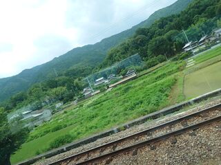 20250622_105805609.JPG