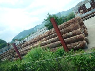 20250622_111318012.JPG