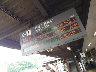 20250622_114523827.JPG