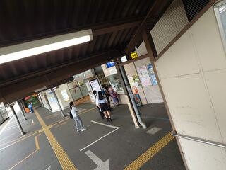 20250622_114750374.JPG