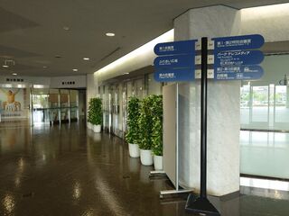 20250622_132935516.JPG