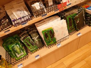 20250622_160030582.JPG