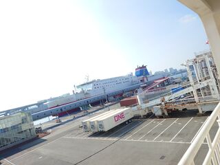 20250628_081144349.JPG
