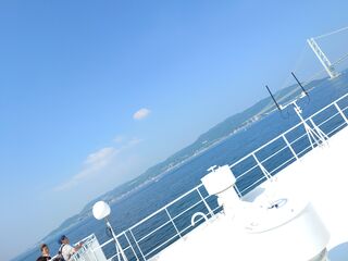 20250628_090950586.JPG