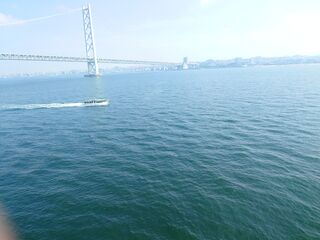 20250628_091058353.JPG