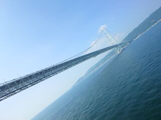 20250628_091245107.JPG
