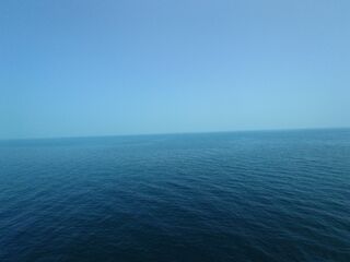 20250628_103919068.JPG