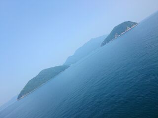 20250628_111305547.JPG