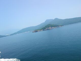 20250628_112058954.JPG