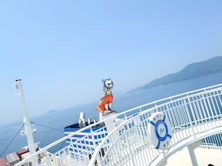20250628_112517247.JPG