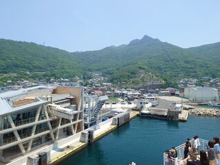 20250628_112819968.JPG