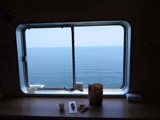 20250628_115314455.JPG