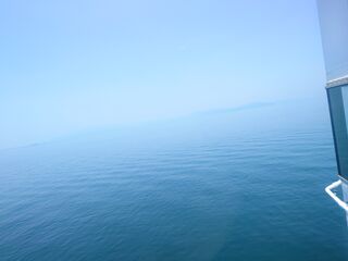 20250628_120834853.JPG