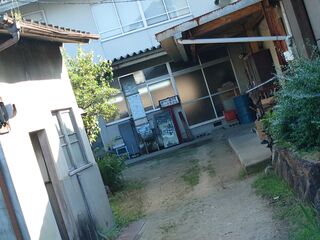 20250628_170416176.JPG