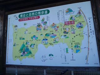 20250628_171231108.JPG