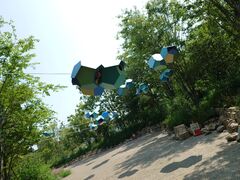 20250705_100358507.JPG