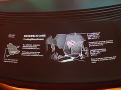 20250705_114628720.JPG