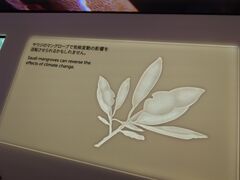 20250705_115117170.JPG