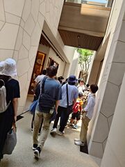 20250705_120614161.JPG
