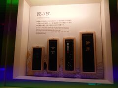 20250705_140719184.JPG