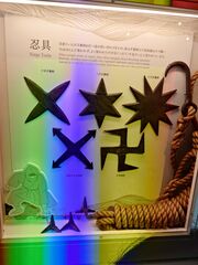 20250705_141605968.JPG