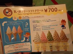 20250705_171653404.JPG