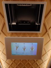 20250705_172429161.JPG