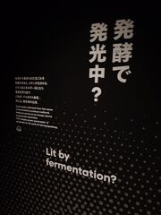 20250705_181912189.JPG