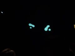 20250705_184342776.JPG