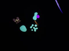 20250705_184351714.JPG