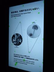 20250705_184501315.JPG