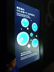 20250705_184622741.JPG