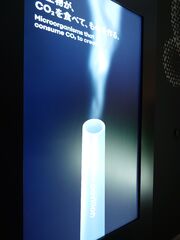 20250705_184637504.JPG