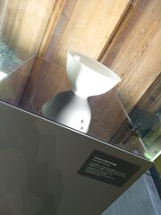 20250705_184710557.JPG
