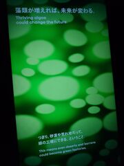 20250705_185022854.JPG