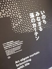 20250705_185150831.JPG