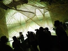 20250705_185204418.JPG
