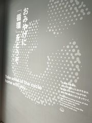 20250705_185603246.JPG