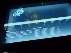 20250705_192537030.JPG