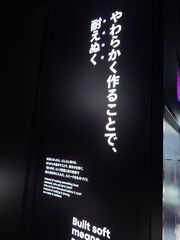 20250705_193026931.JPG