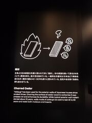 20250705_193127182.JPG