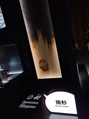 20250705_193141419.JPG