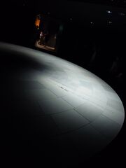 20250705_194248660.JPG