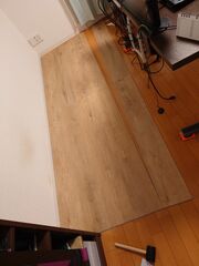 20250820_004800286.JPG
